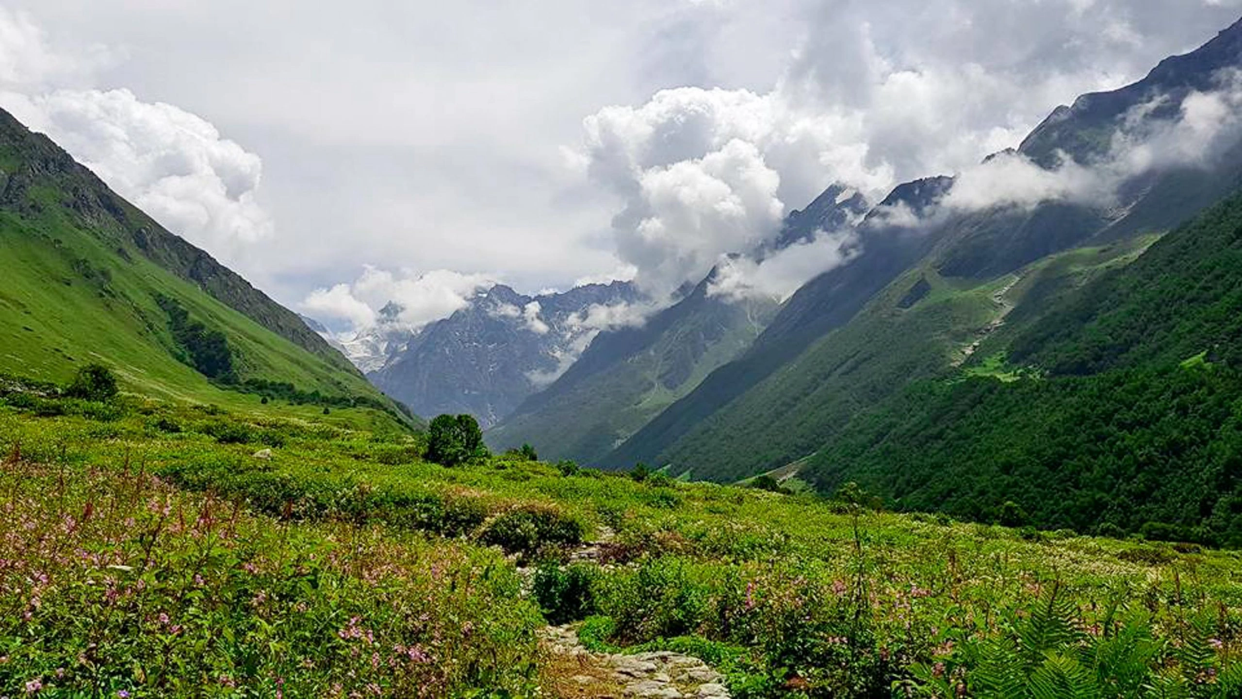 Scenic view of Valley of Flowers with Himalayan mountains in background