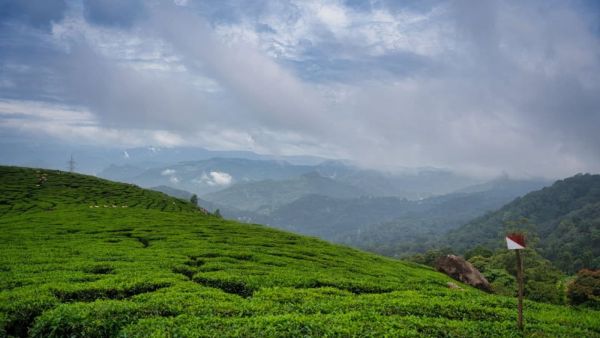 Monsoon Magic at Tungnath and Chandrashila