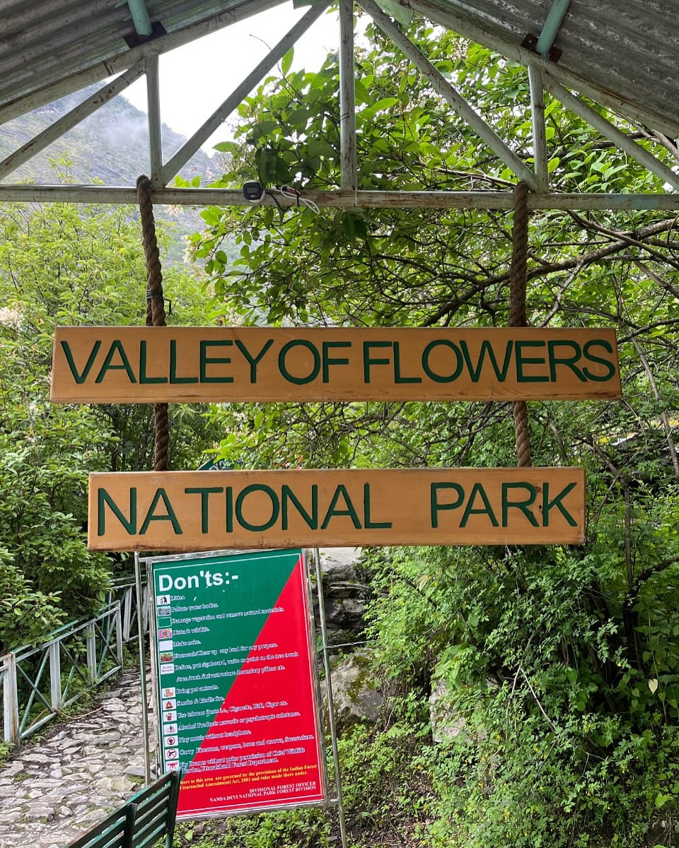 Valley of Flowers National Park (2025): Everything You Need to Know