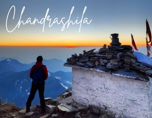 chopta tour package