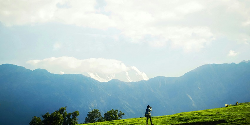 Chopta Forests & Meadows