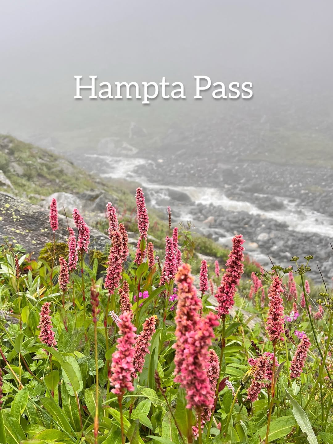  Where is the Hampta Pass situated?