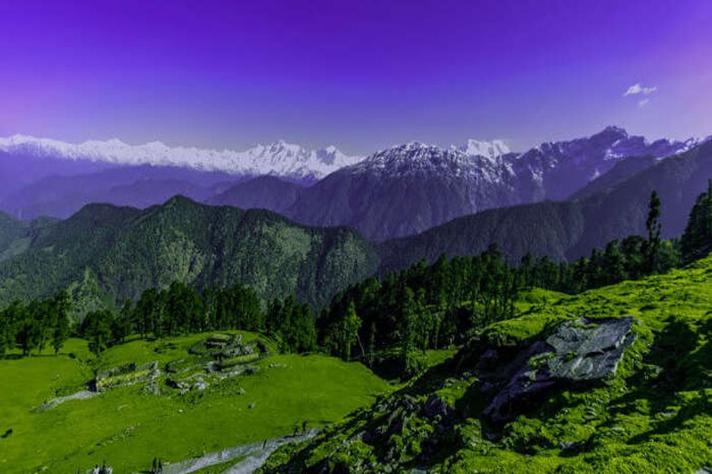 Chopta in Monsoons - Trek, Weather & Travel Guide