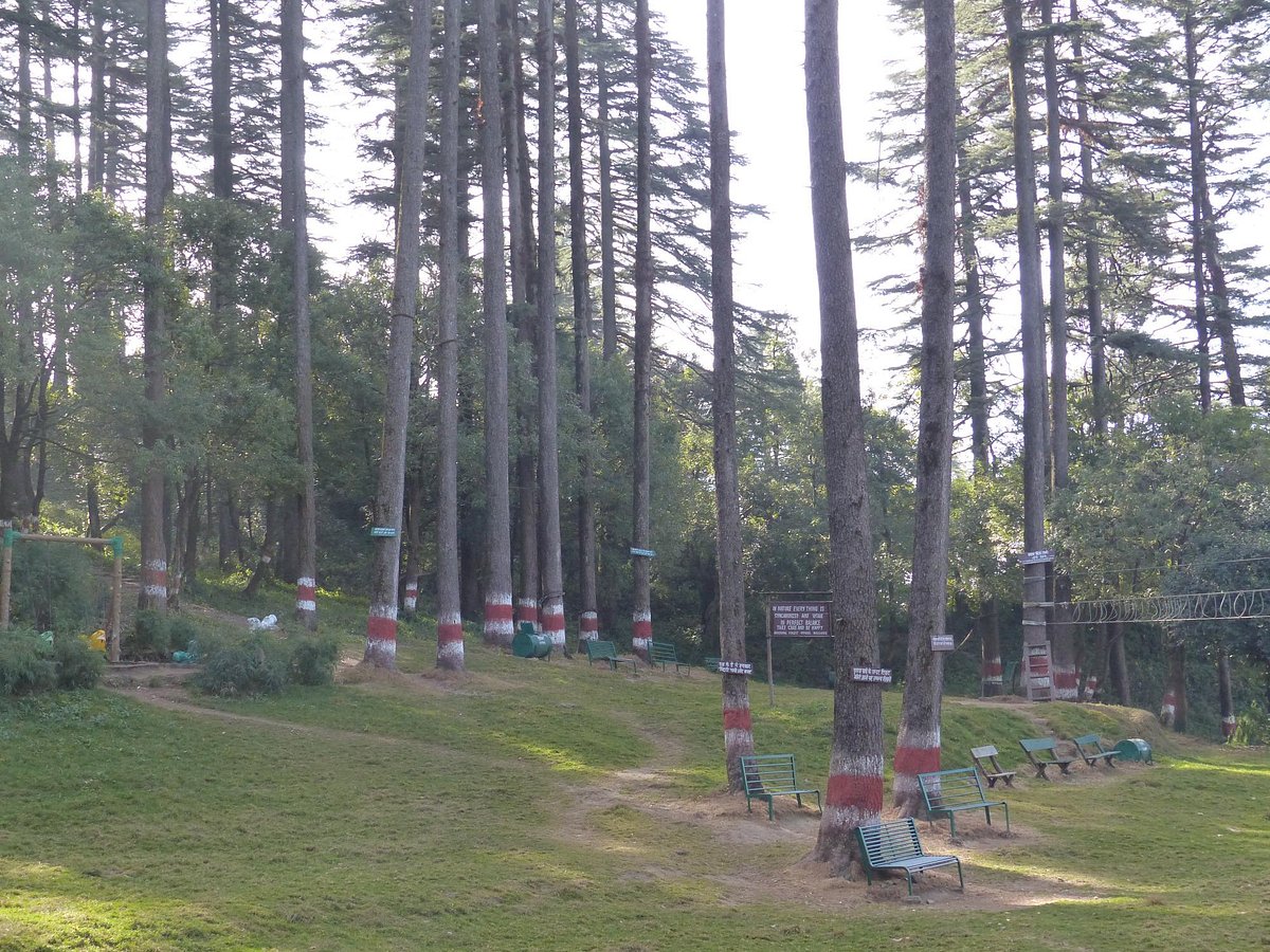 Dhanaulti Eco Friendly Park