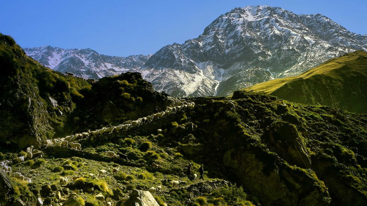 Nanda Devi Sanctuary 
